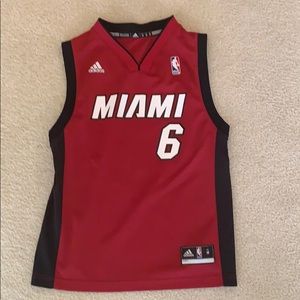 Lebron James Miami Heat Alternate Jersey